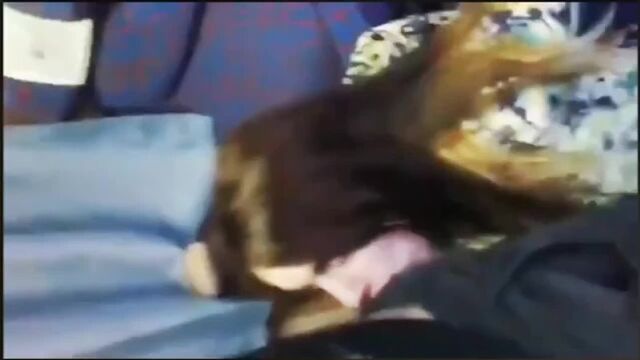 HD порно 172751