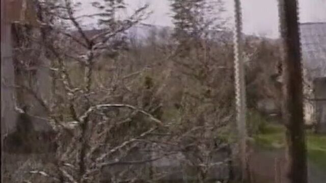 HD порно 226016