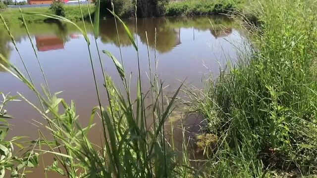 HD порно 154420