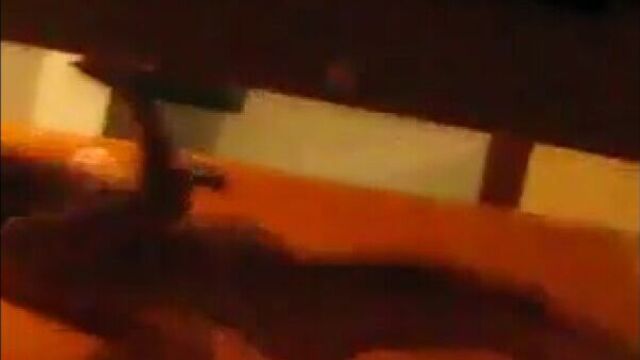 HD порно 219022