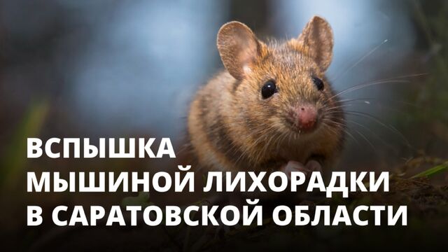 HD порно 189823