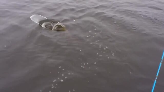 HD порно 186551