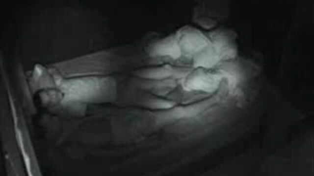 HD порно 222194