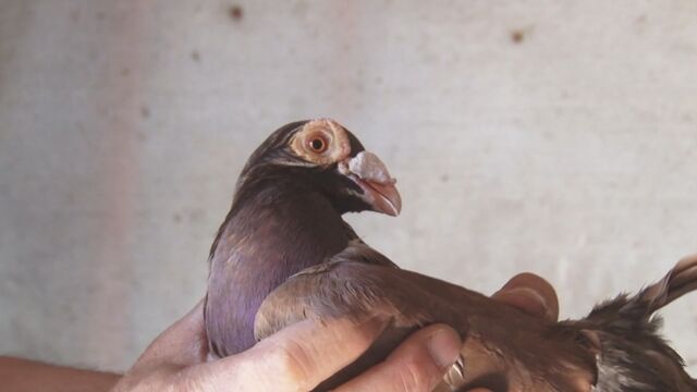 HD порно 174210