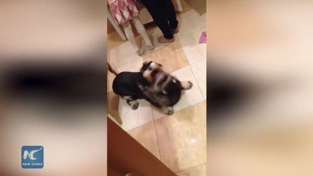 HD порно 146310