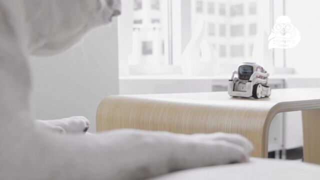 HD порно 114999