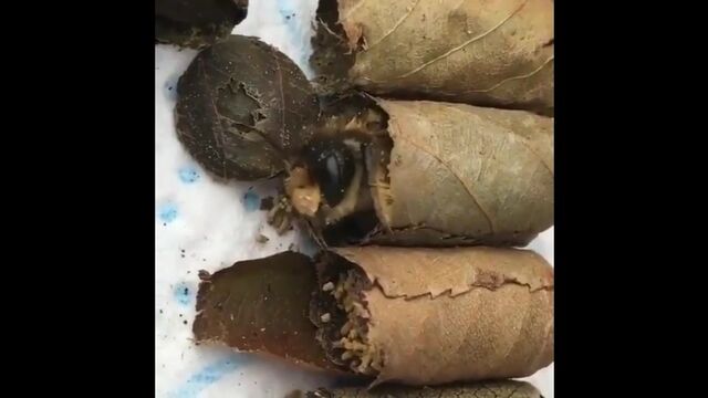 HD порно 179819