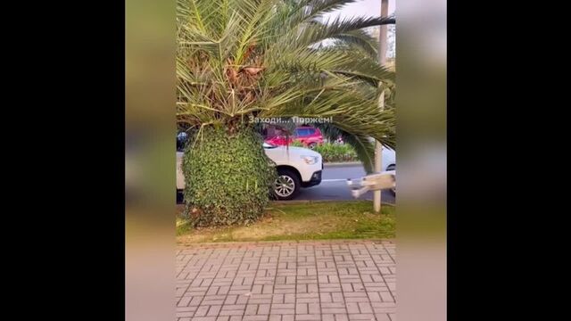 HD порно 107283