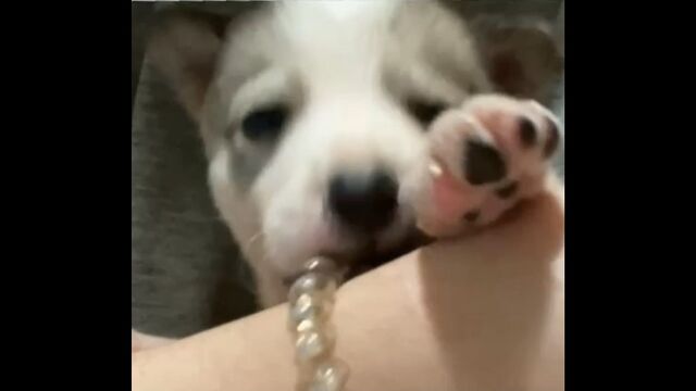 HD порно 189358