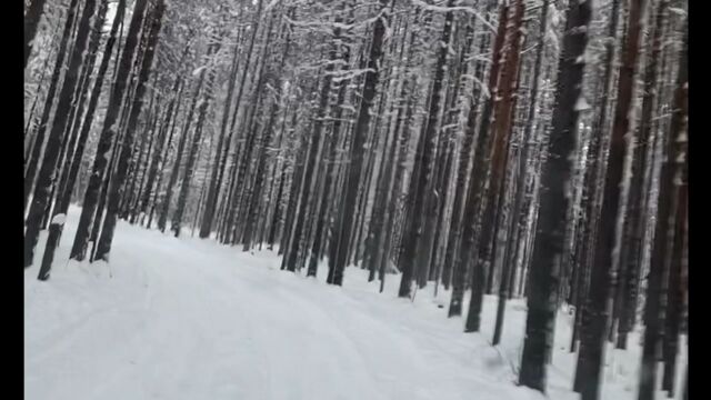 HD порно 117301