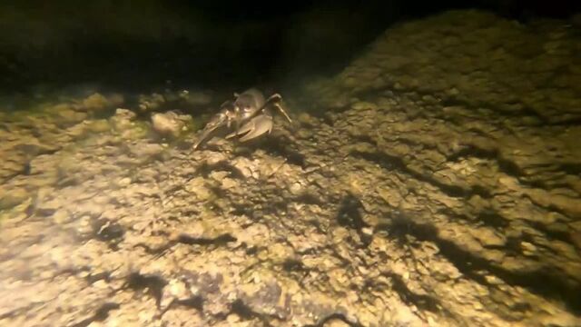 HD порно 162807