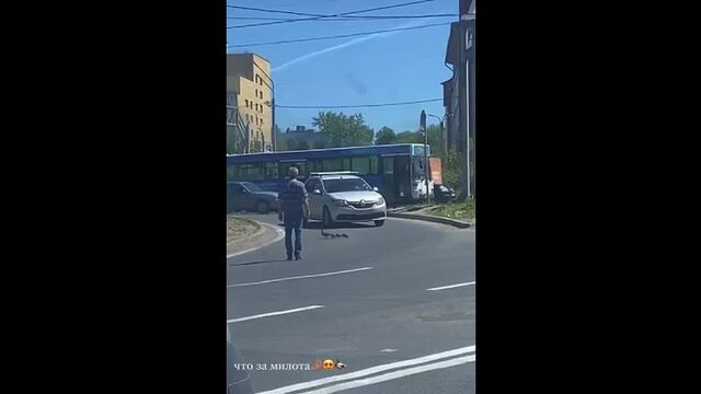 HD порно 198997