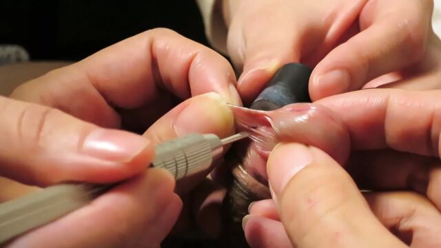 HD порно 171632