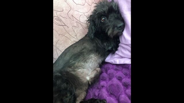 HD порно 106810