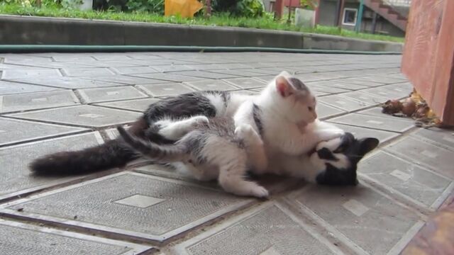 HD порно 131479