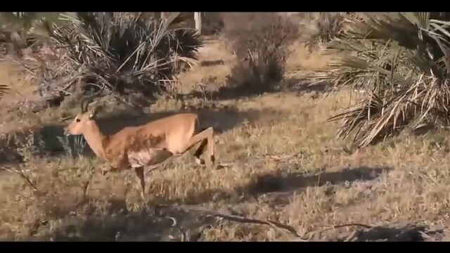 HD порно 133595