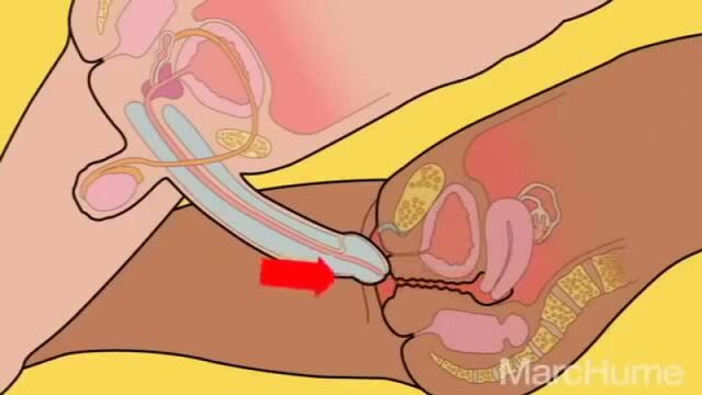 HD порно 142603