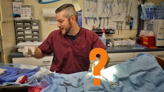 HD порно 146333