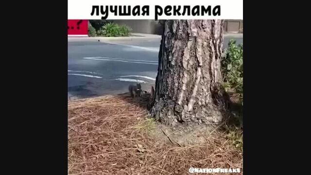 HD порно 168868