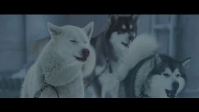 HD порно 118151