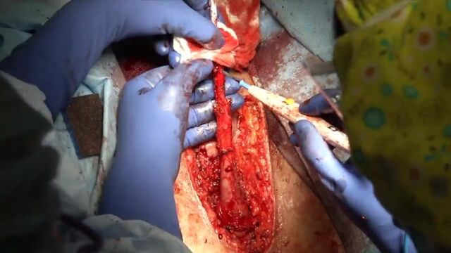 HD порно 148052