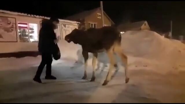 HD порно 181812