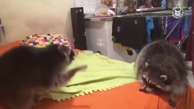 HD порно 192157