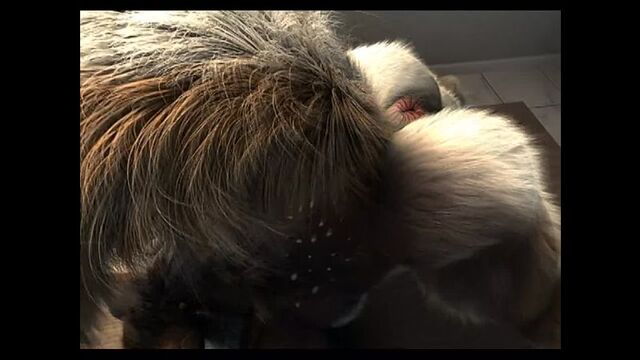 HD порно 102277