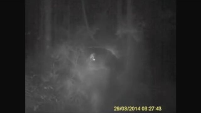 HD порно 154844