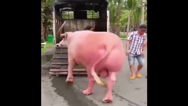 HD порно 180963