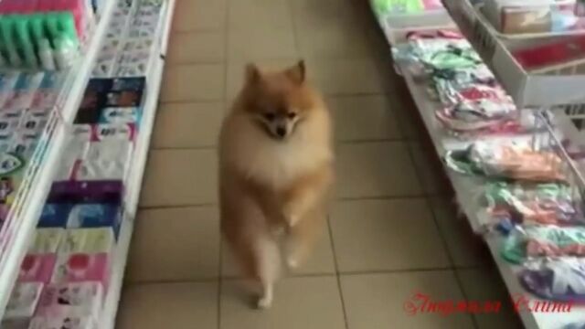 HD порно 122539