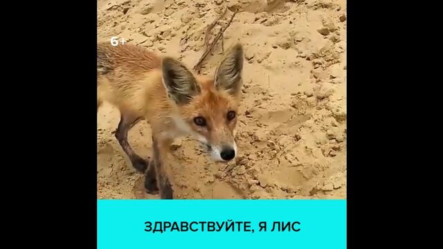 HD порно 121485