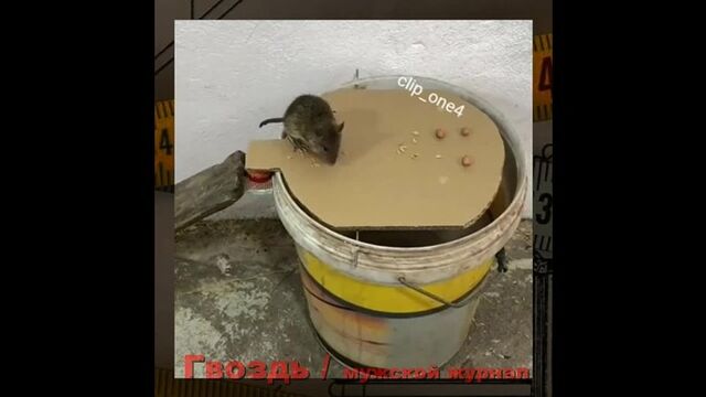 HD порно 187252