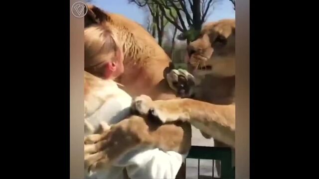 HD порно 115599