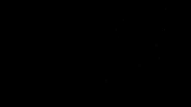 HD порно 118501