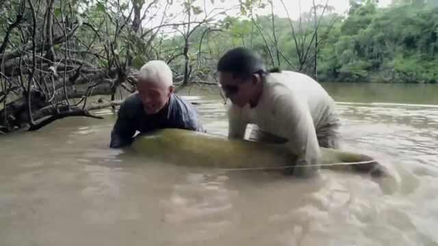 HD порно 101600