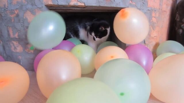 HD порно 173018