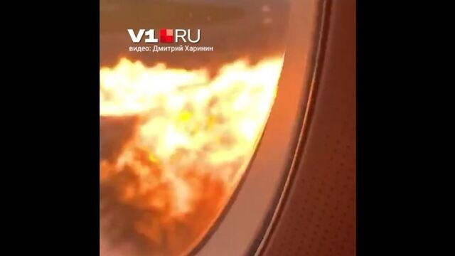 HD порно 184694