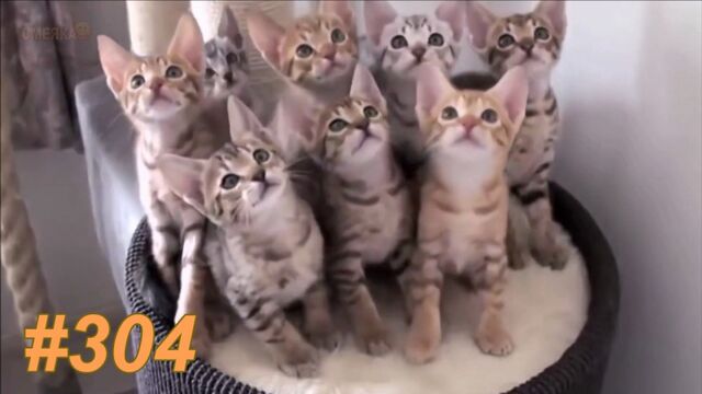 HD порно 159699