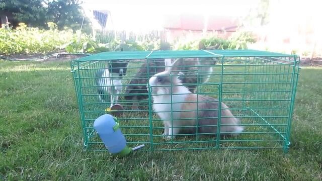 HD порно 174186