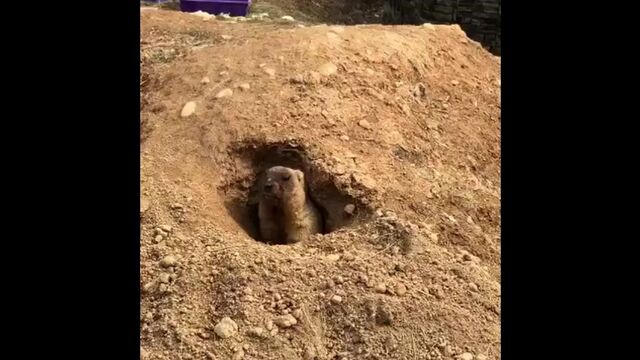 HD порно 120598