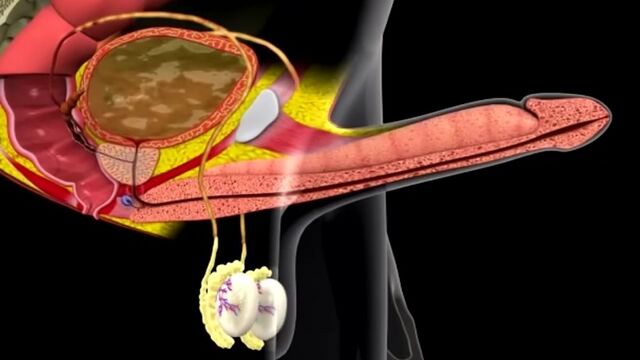 HD порно 165213