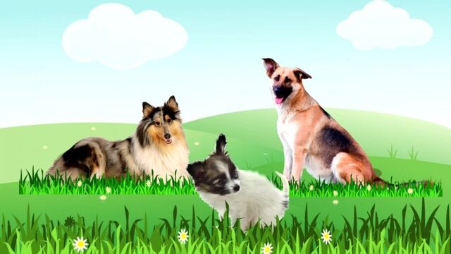 HD порно 135093