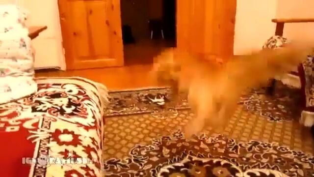 HD порно 158148