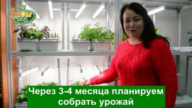 HD порно 182350