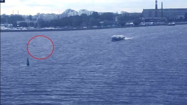 HD порно 192155