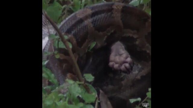 HD порно 115277