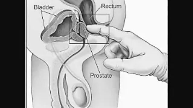 HD порно 174733