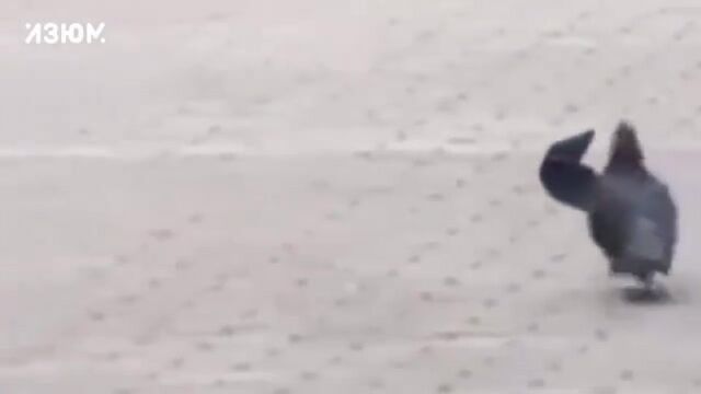 HD порно 134953