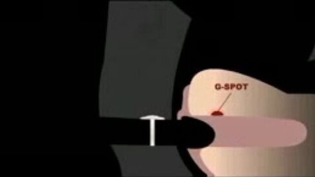 HD порно 244931